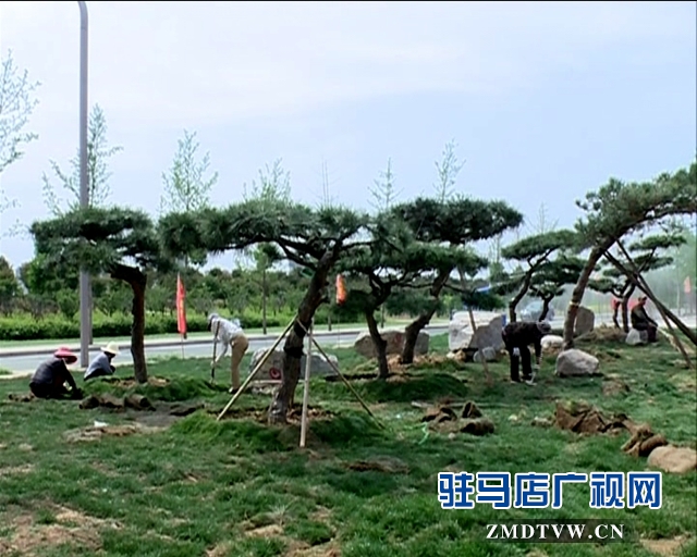 聶曉光深入城區(qū)主要路段調(diào)研城市建設與管理工作