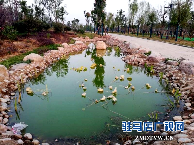 練江河主題公園景色美如畫(huà)