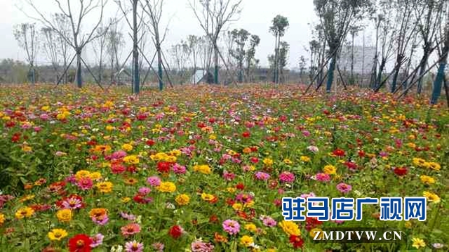 練江河主題公園景色美如畫(huà)
