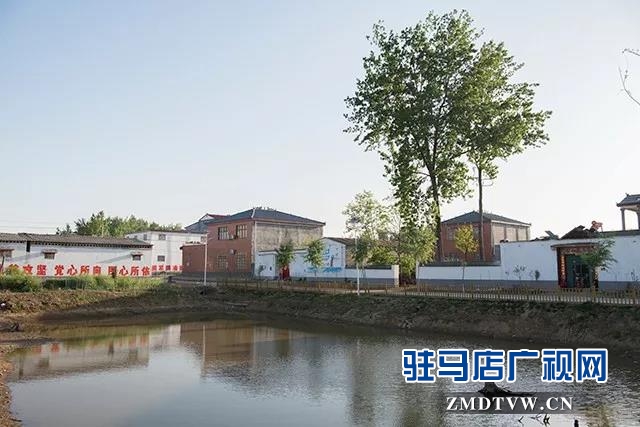 10 康建華：興村富民領(lǐng)頭雁，實(shí)事辦了一串串！.jpg