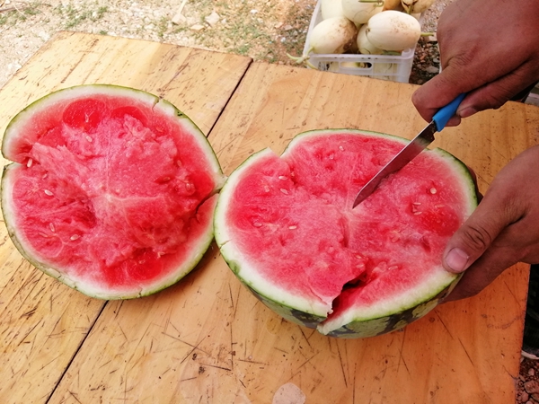 確山瓦崗富硒西瓜提前上市