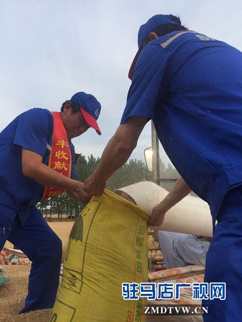 中石化駐馬店石油分公司共產(chǎn)黨員服務(wù)隊(duì)助力“三夏”保豐收