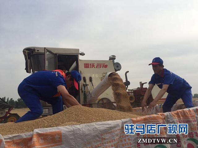 中石化駐馬店石油分公司共產(chǎn)黨員服務(wù)隊(duì)助力“三夏”保豐收