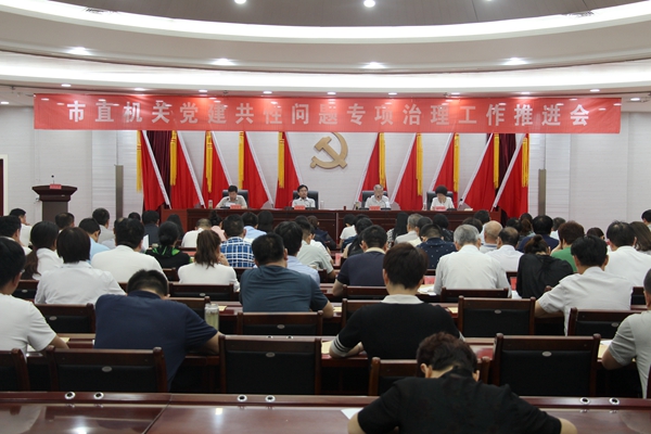 市直機關(guān)黨建共性問題專項治理工作推進會召開