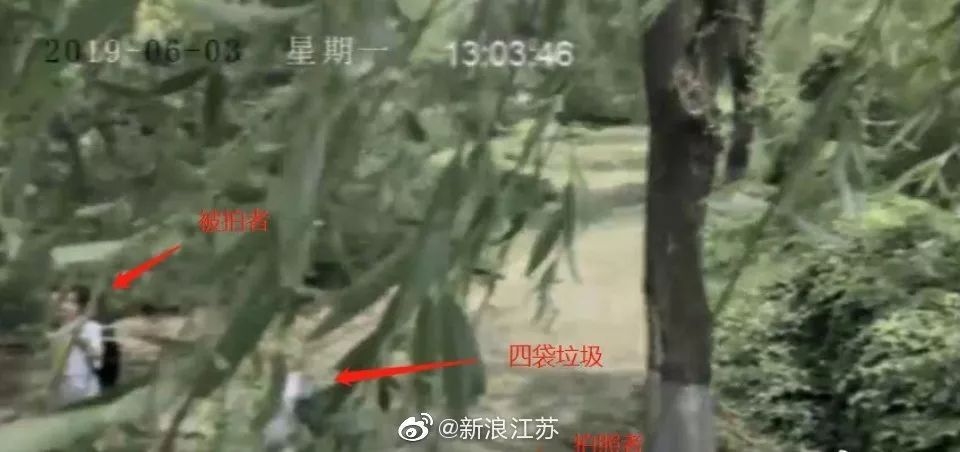 新時(shí)代的網(wǎng)紅靠什么才能“躺贏”？ 