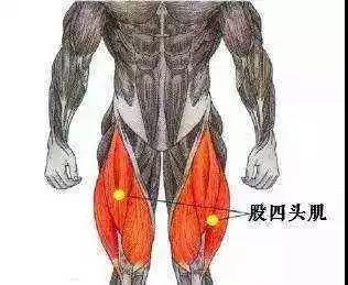 膝關(guān)節(jié)的保養(yǎng)，收藏這篇就夠了 