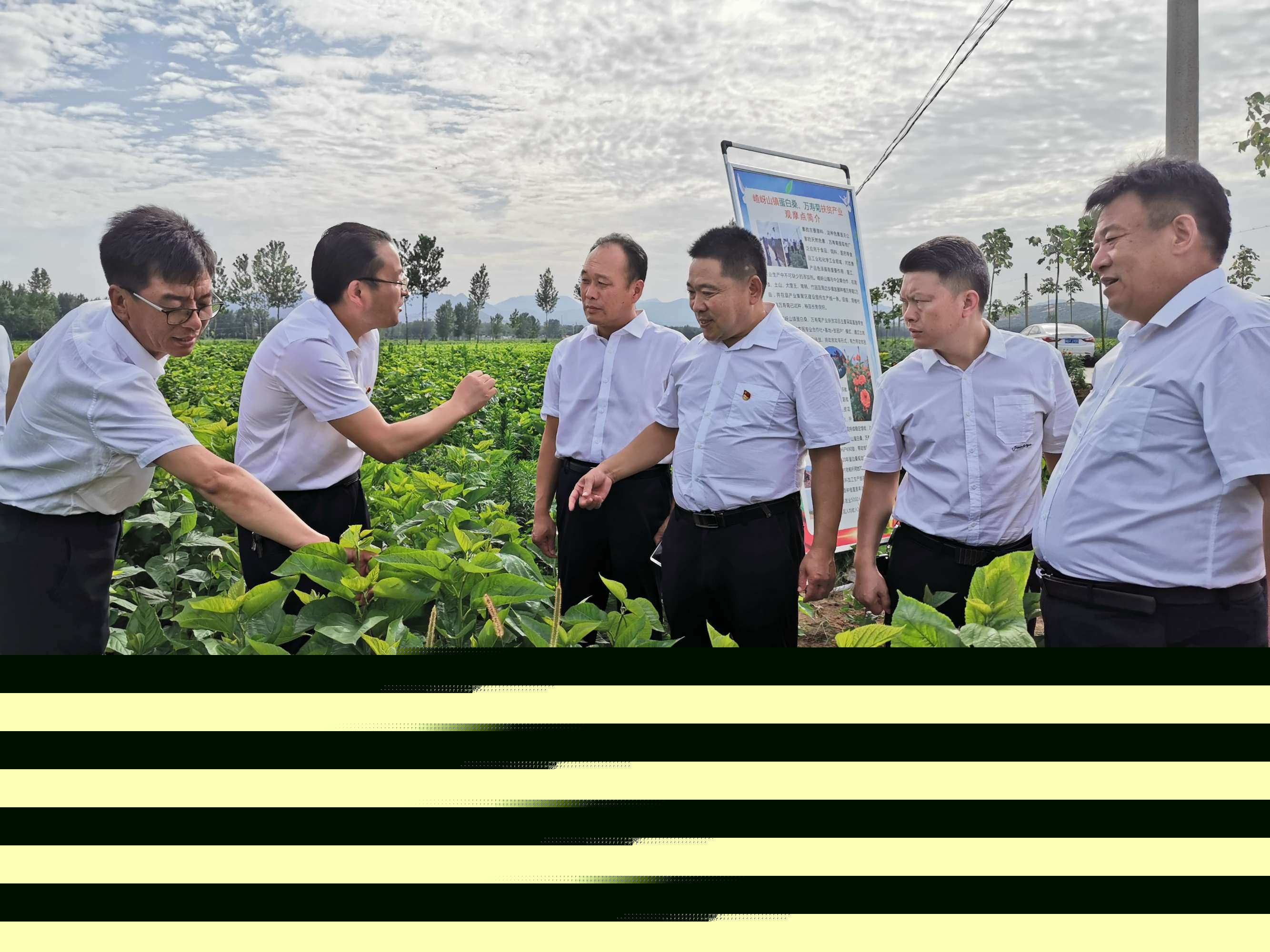 駐馬店市企業(yè)家協(xié)會(huì)二屆第四組走進(jìn)遂平嵖岈山鎮(zhèn)蛋白桑葉基地精準(zhǔn)產(chǎn)業(yè)扶貧暨慰問老黨員活動(dòng)圓滿舉行