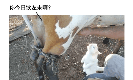  打個噴嚏骨頭就崩了？35歲后這病就盯上你 