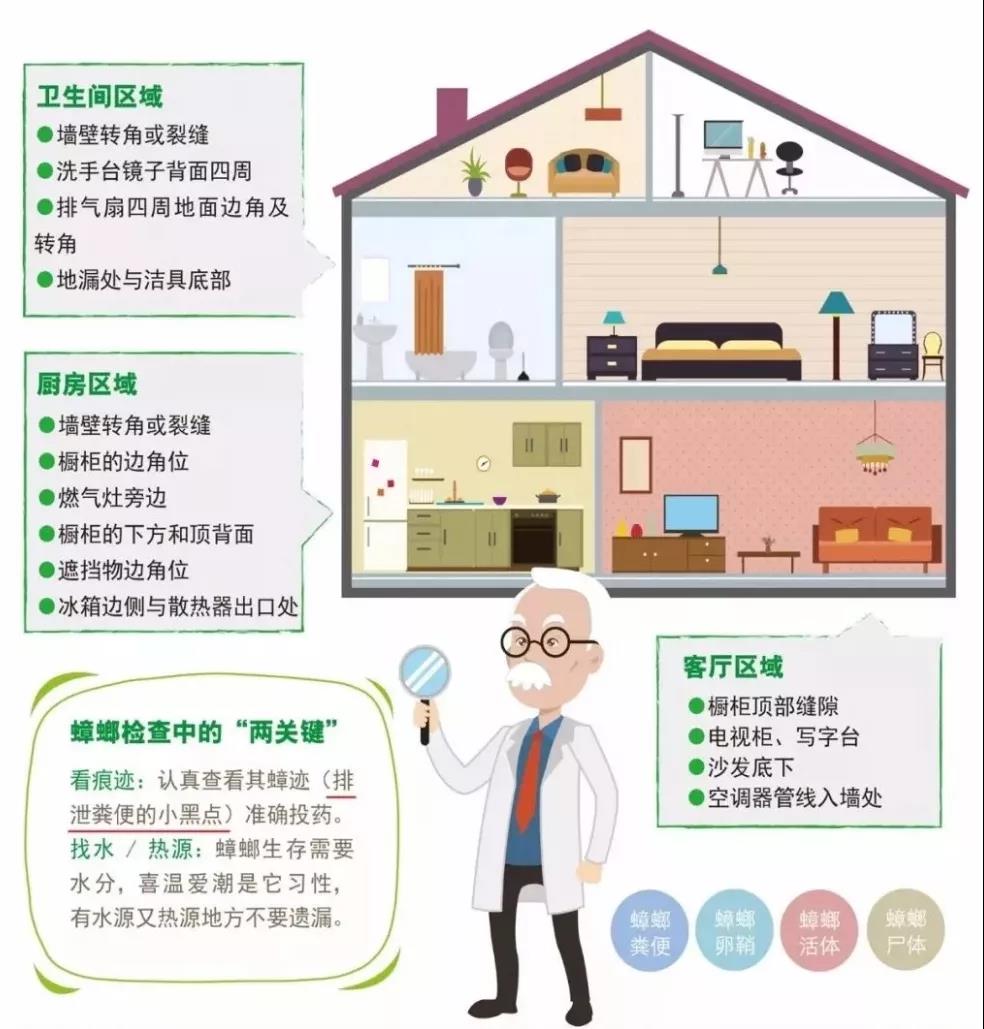 螂有N種死法，真正靠譜的是這2種 