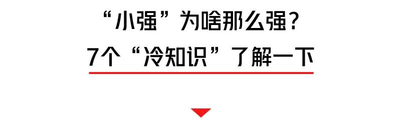 螂有N種死法，真正靠譜的是這2種 