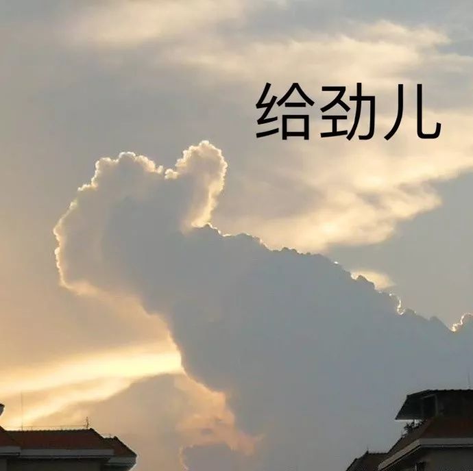 給科學(xué)家起沙雕綽號(hào)？是不是袁隆平讓你們吃的太飽了？ 