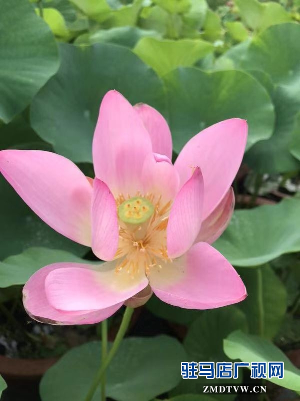 微信圖片_20190724103539.jpg