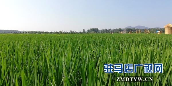 確山縣留莊鎮(zhèn)被正式授予國家級3A景區(qū)