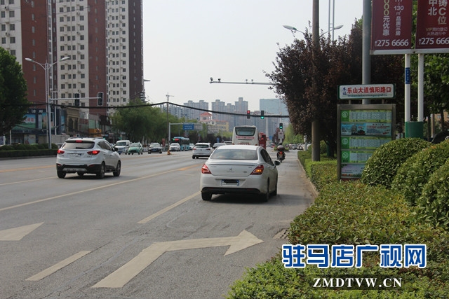 樂山大道慎陽(yáng)路口公交站牌設(shè)置不合理    市民出行存隱患