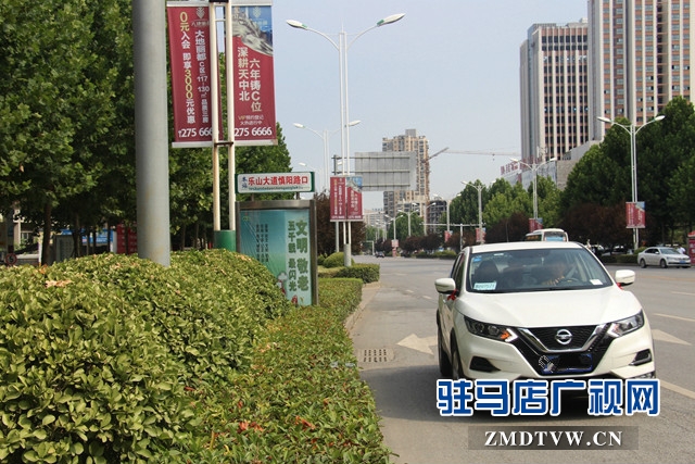 樂山大道慎陽(yáng)路口公交站牌設(shè)置不合理    市民出行存隱患