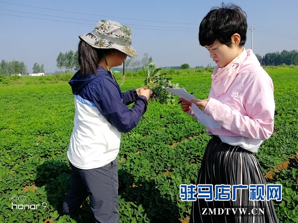 正陽(yáng)縣氣象局開(kāi)展災(zāi)情調(diào)查服務(wù)“秋管”