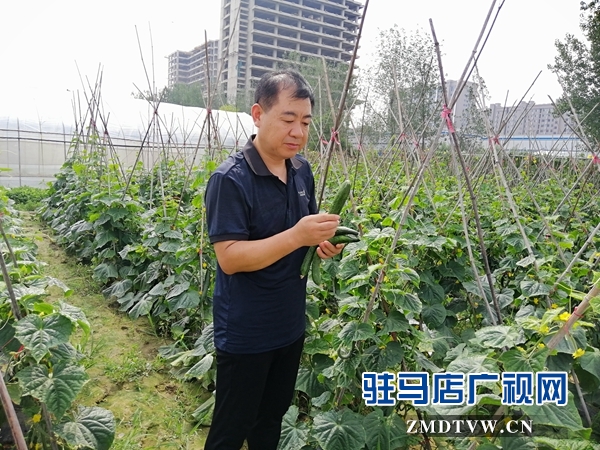 市拔尖人才姜?。号μ岣呖蒲兴?大力助推脫貧工作