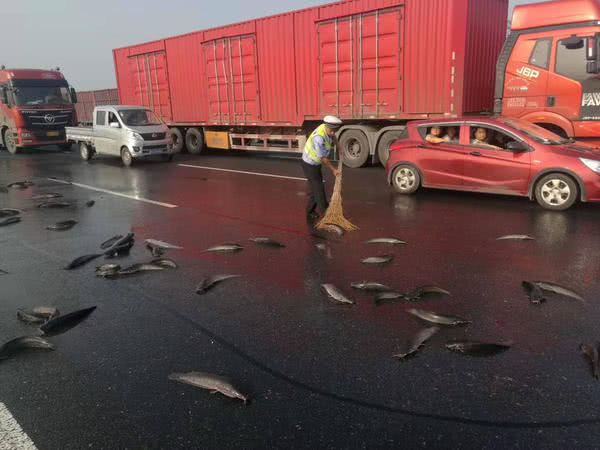 京港澳高速駐馬店段的路面上撒滿了魚，咋回事？