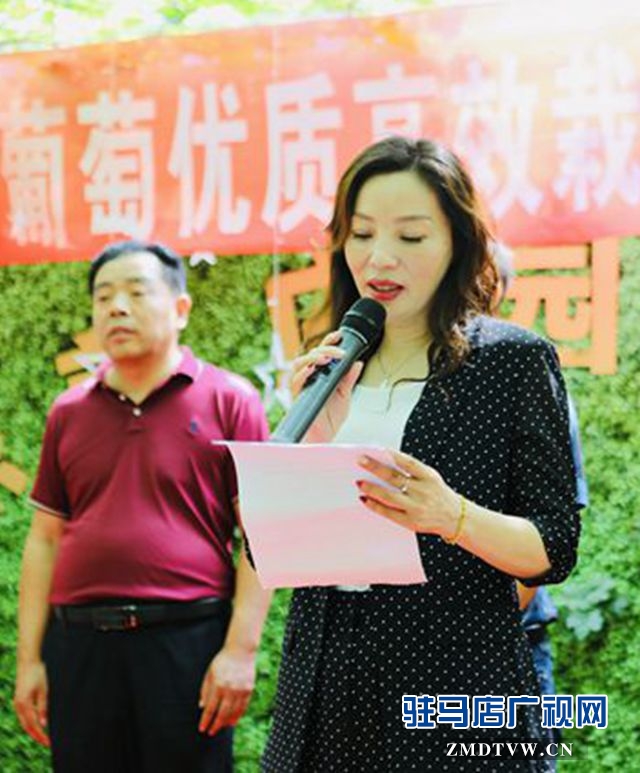葡萄熟了！駐馬店杰美葡萄莊園盛大開園
