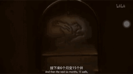 抽獎(jiǎng)超過三百萬的中國(guó)錦鯉女孩信小呆，現(xiàn)在過得并不如意？ 