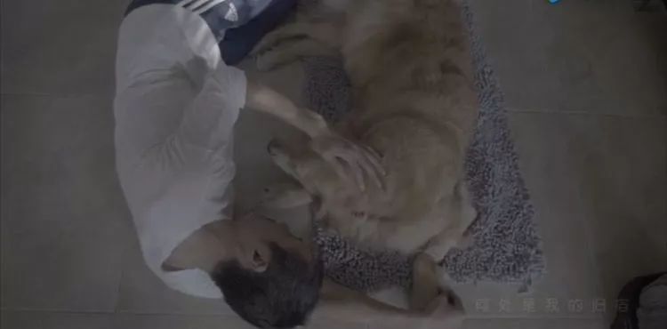 45歲樸樹錄節(jié)目突然離場：我歲數(shù)大了，要回家睡覺了…… 