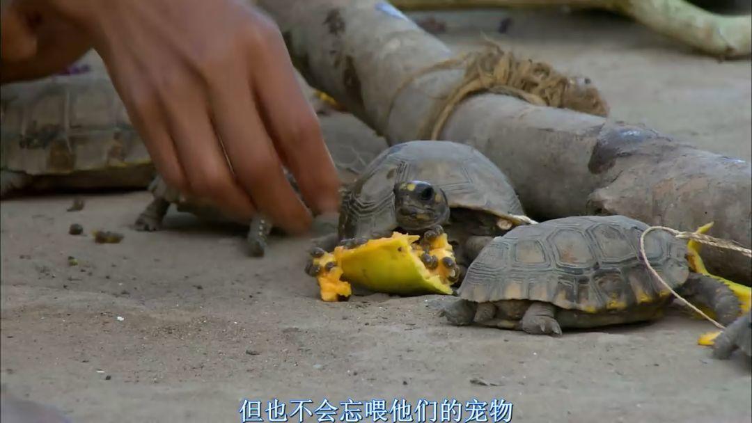 刷屏朋友圈的假「圣母」，今天必須拆穿 