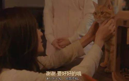 抖音呈現(xiàn)的到底是個什么世界？ 