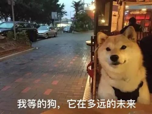 鄭州青年單身率67.57%，全國單身人口已超2億：你為什么單身？ 