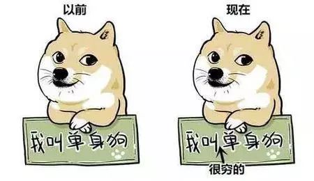 鄭州青年單身率67.57%，全國單身人口已超2億：你為什么單身？ 