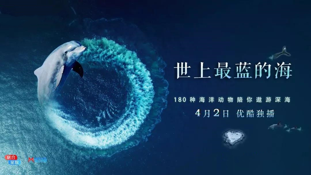 大堡礁5至25年內(nèi)將消失！未來(lái)，我們可能再也見(jiàn)不到了 | 正在消失的世界記憶 