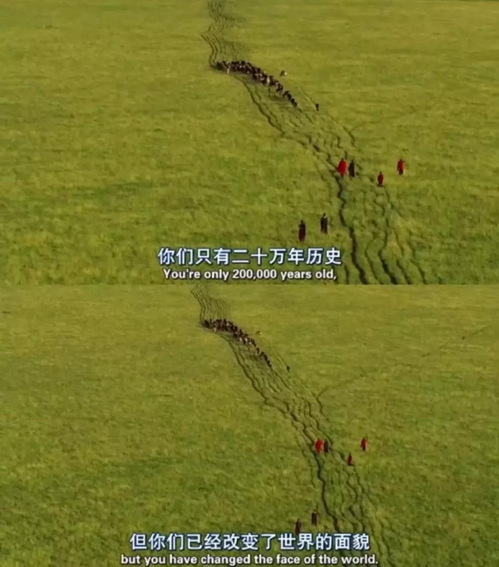 大堡礁5至25年內(nèi)將消失！未來(lái)，我們可能再也見(jiàn)不到了 | 正在消失的世界記憶 