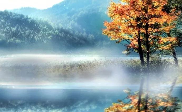 詩(shī)詞丨木葉落，秋分至，正是一年最美時(shí) 