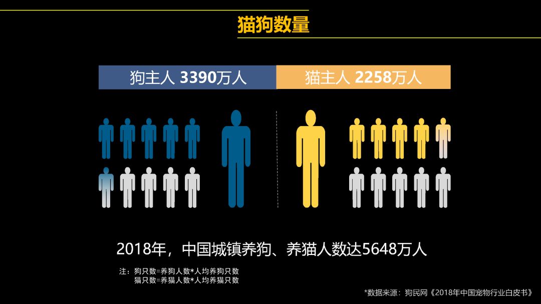 中國首只克隆貓回家了，你會(huì)花 38 萬跟去世的寵物再續(xù)前緣嗎？