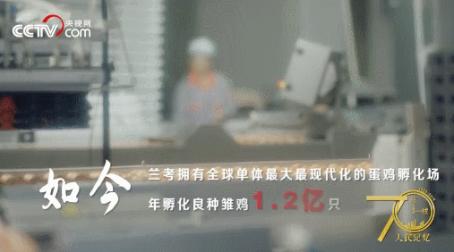 記住蘭考！央視網(wǎng)全景再現(xiàn)蘭考，聽聽親歷者的心聲