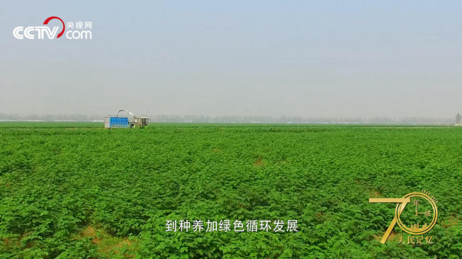 人民記憶·70年70城|記住開封蘭考，焦裕祿精神的發(fā)源地