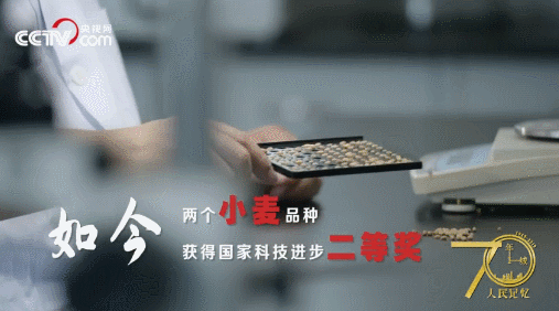 記住蘭考！央視網(wǎng)全景再現(xiàn)蘭考，聽聽親歷者的心聲