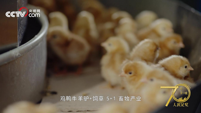 人民記憶·70年70城|記住開封蘭考，焦裕祿精神的發(fā)源地