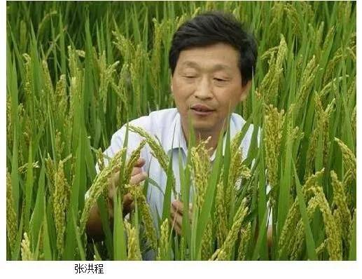 我們有多少位知青出身的兩院院士？ 