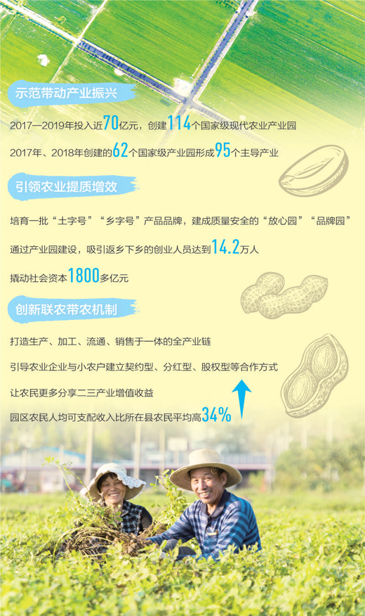 小花生“長”成大產(chǎn)業(yè)(田間追蹤高質(zhì)量)