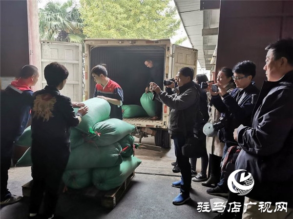 駐馬店國際會(huì)展中心空降藍(lán)天芝麻小鎮(zhèn)“芝麻仙子”與正道油業(yè)“賣油郎”企業(yè)聯(lián)姻