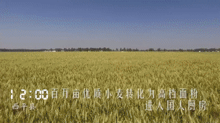 【視頻】一天24小時(shí)，駐馬店在發(fā)生什么？