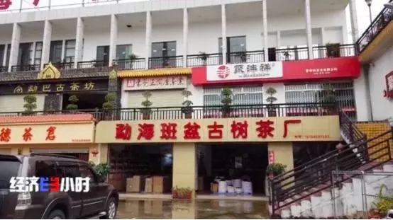 揭“古樹茶”亂象：普通茶披個(gè)包裝，價(jià)格能翻幾倍！