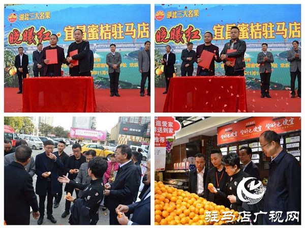 湖北三大名果曉曦紅?宜昌蜜桔駐馬店農(nóng)超對接產(chǎn)品推介會在歡樂愛家舉行