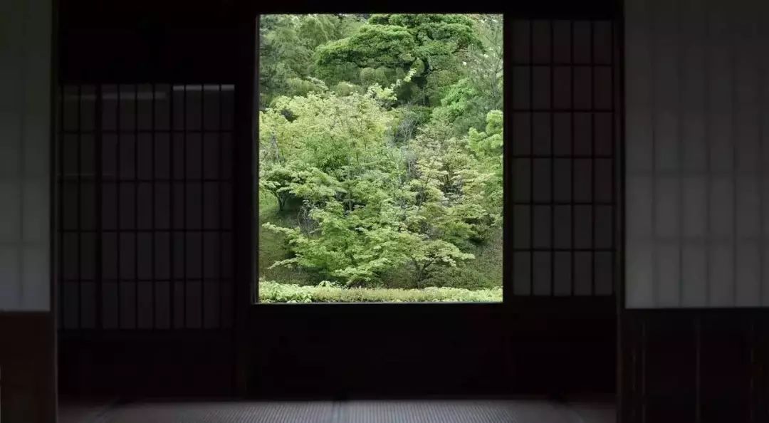 真正的審美是與美保持距離，而不是占有