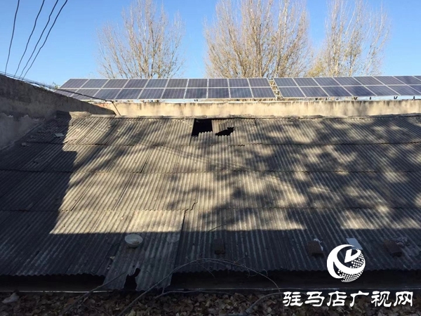 危急中，他把生的希望留給了陌生的孩子