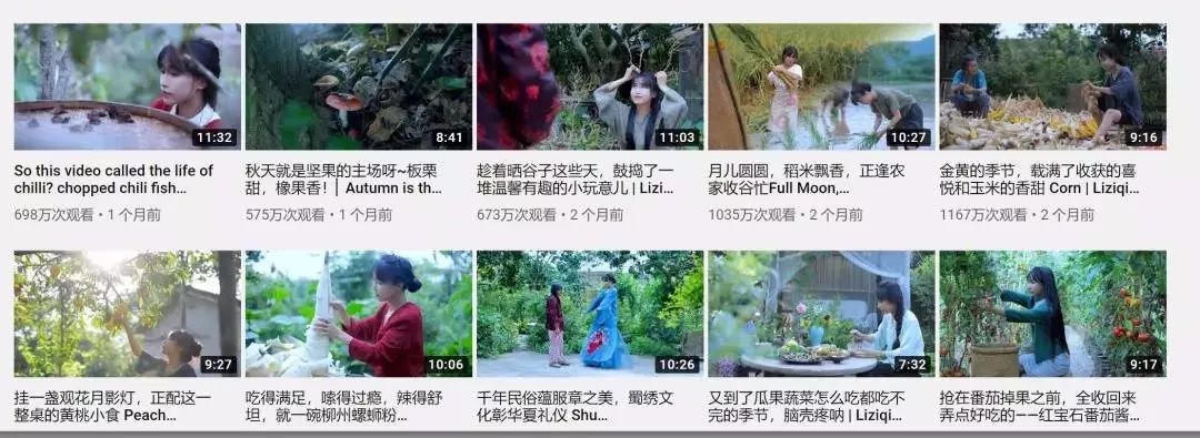 肖鋒：請(qǐng)大家放過李子柒！