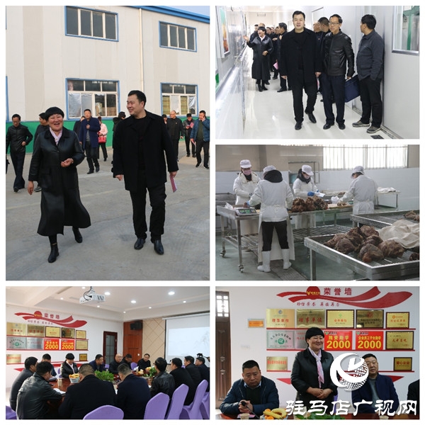 駐馬店市食品工業(yè)協(xié)會30余名會員企業(yè)家深入確山縣、泌陽縣6家會員企業(yè)觀摩走訪