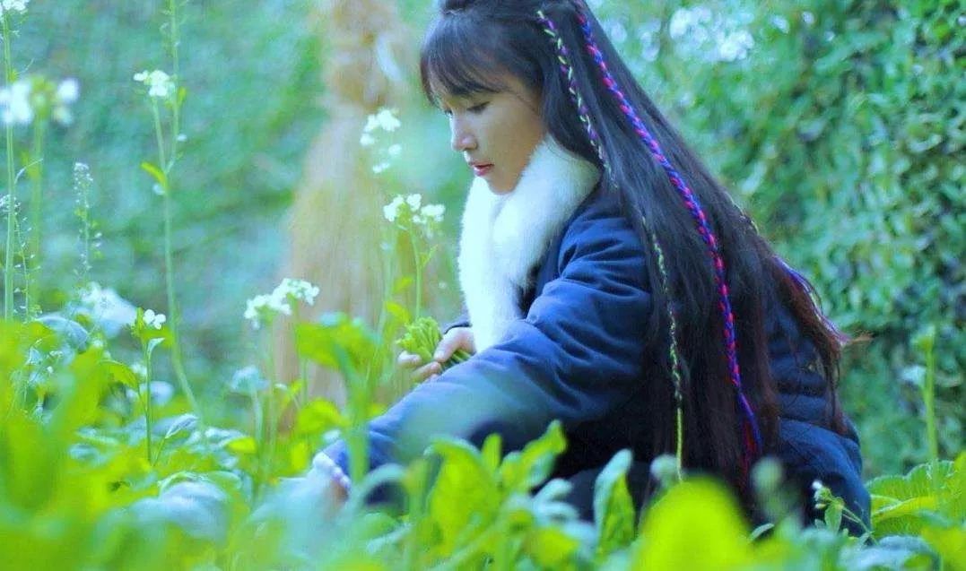 肖鋒：請(qǐng)大家放過李子柒！