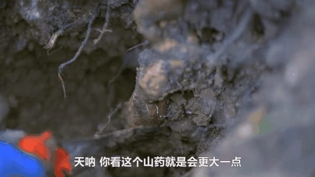 大秦嶺的小日子 | 人間有味是清歡