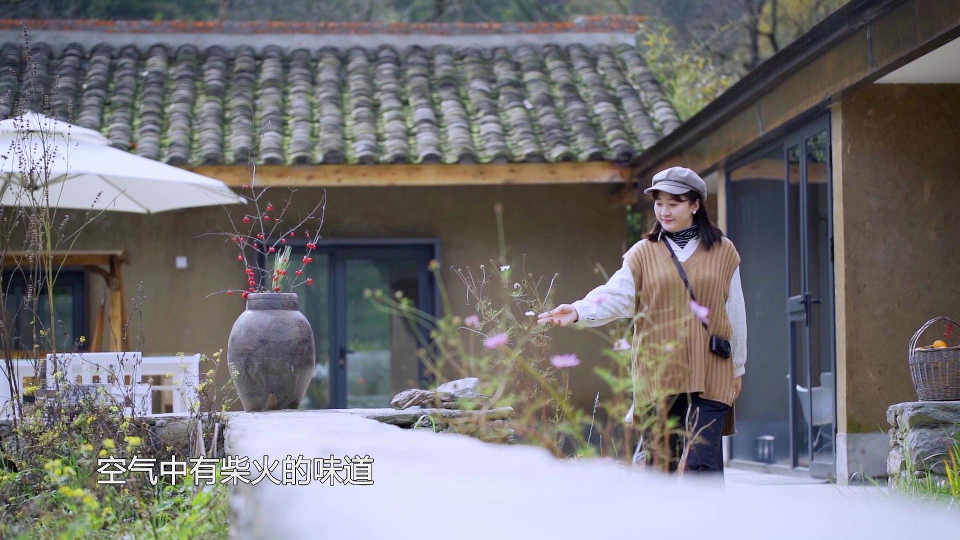 大秦嶺的小日子 | 人間有味是清歡